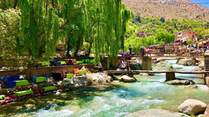 Discover Ourika Valley