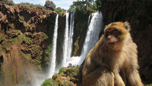 Explore Ouzoud Waterfalls