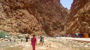 Visit Todra Gorge