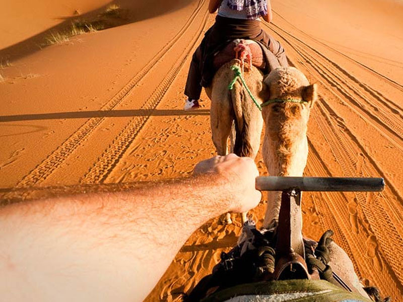 Fez to Marrakech Desert Crossing